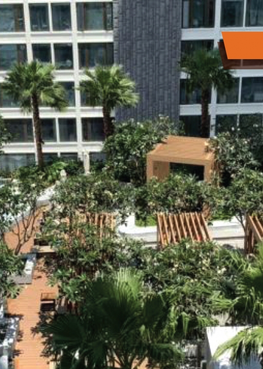 WPC TRELLIS FOR GARDEN